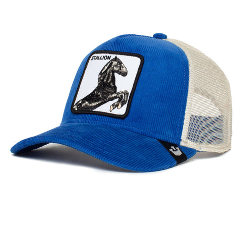 101-0961-BLU-L01