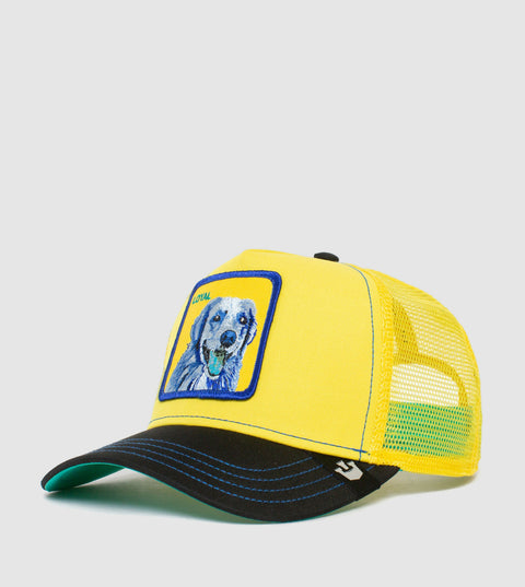 101-1037-YEL-L01