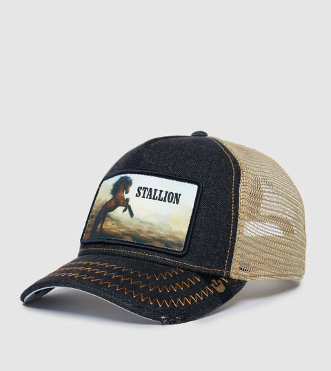 101-1232-CHA-L01